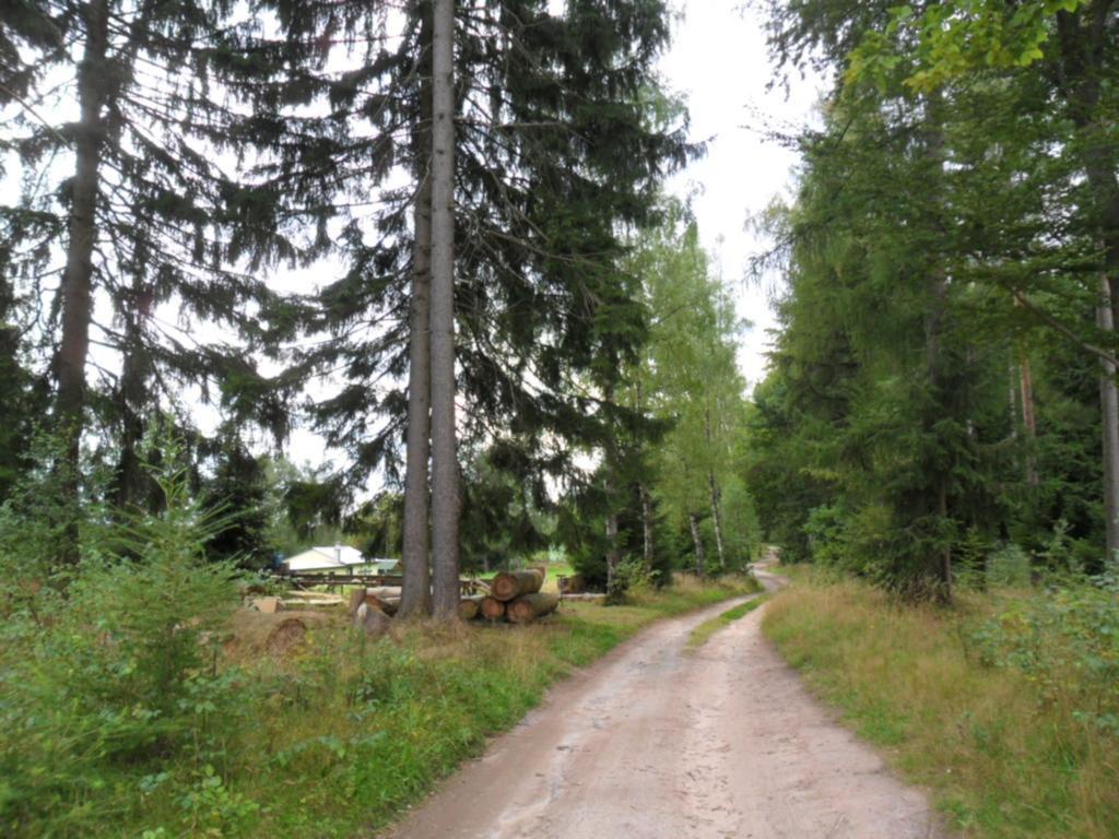 Karin'S Behagliche Ferienwohnung Benshausen الغرفة الصورة